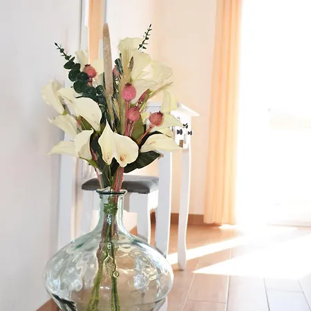 Sun With Pool Apartment Paljuv